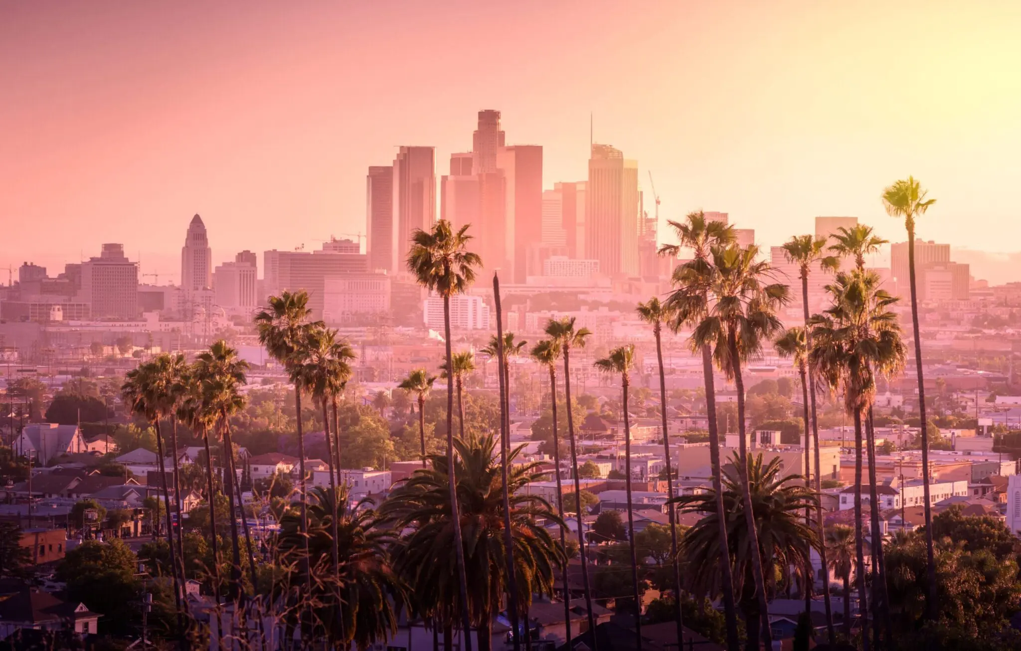 A dramatic cityscape photograph of downtown Los Angeles at sunset, captured through a pink-tinted filter. The iconic downtown skyline features several tall skyscrapers and office buildings in warm pink and orange tones. In the foreground, multiple tall palm trees with dark green fronds line the view, creating a natural frame for the cityscape. The palm trees are silhouetted against the bright sky, with some showing detailed leaf patterns. The urban landscape below shows a mix of residential buildings, streets, and urban development. The lighting creates a soft, dreamy atmosphere with the sun setting behind the buildings, casting long shadows and giving the entire scene a romantic pink and yellow gradient. The composition is shot from an elevated position, looking down at the city, with the palm trees in the lower third of the frame and the downtown buildings filling the upper portion. The image has a vintage aesthetic with enhanced warm tones and slight vignetting around the edges.