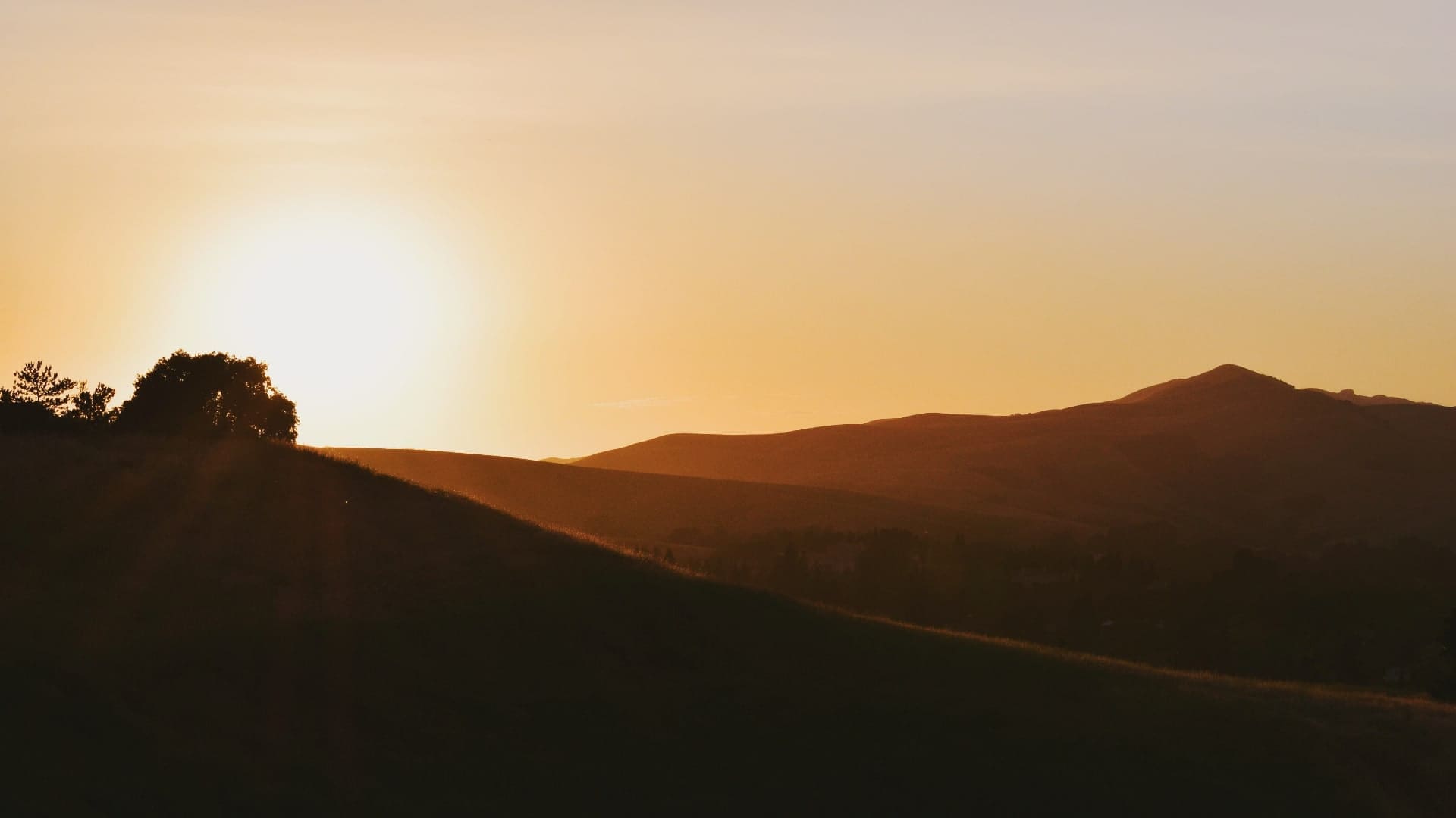 Golden sunset over rolling hills and mountains, with a silhouetted tree.