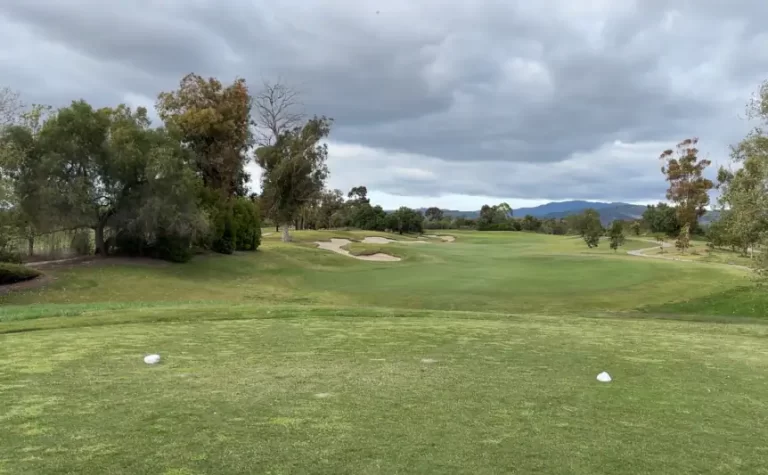 building a golf scholarship resume with golf coach email etiquette