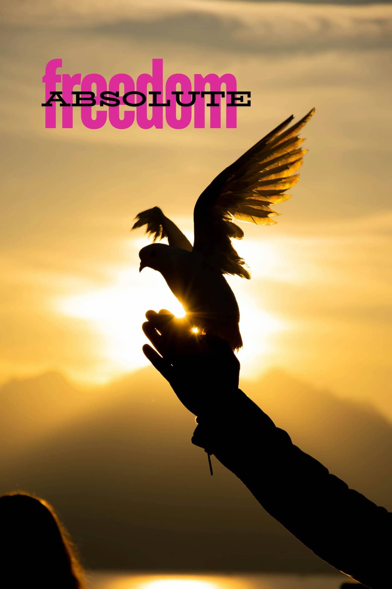 Absolute Freedom: The Endgame of Acceptance and Experience