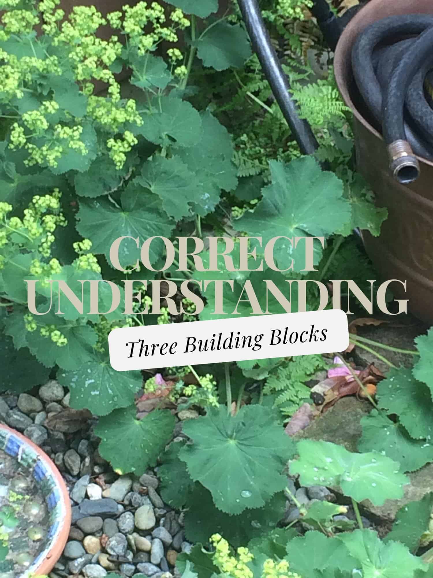 Correct Understanding of Zen: The Three Pillars