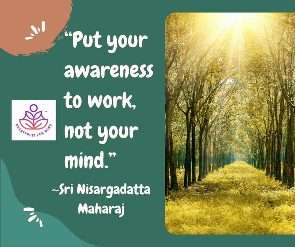 Empty Awareness: Presence Dwarfs the Identity Center