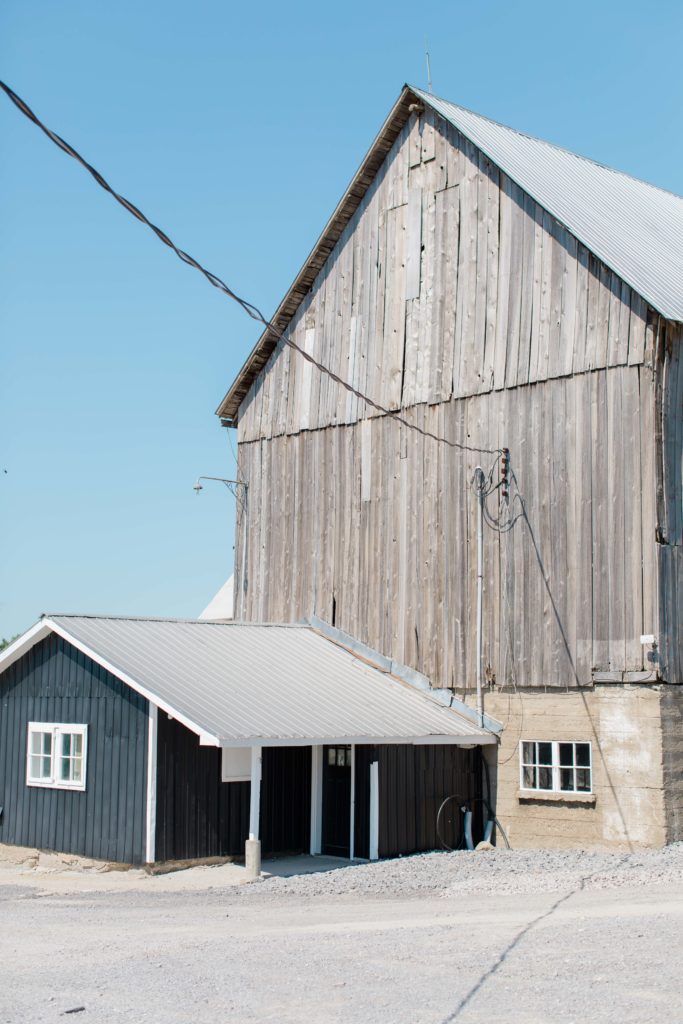 Laura Ben Campbell Farm White Lake Wedding Grey Loft Studio 2020