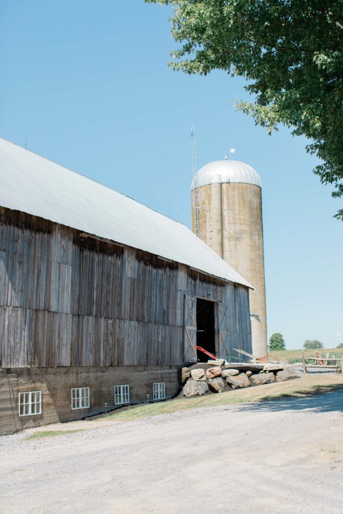 Laura Ben Campbell Farm White Lake Wedding Grey Loft Studio 2020