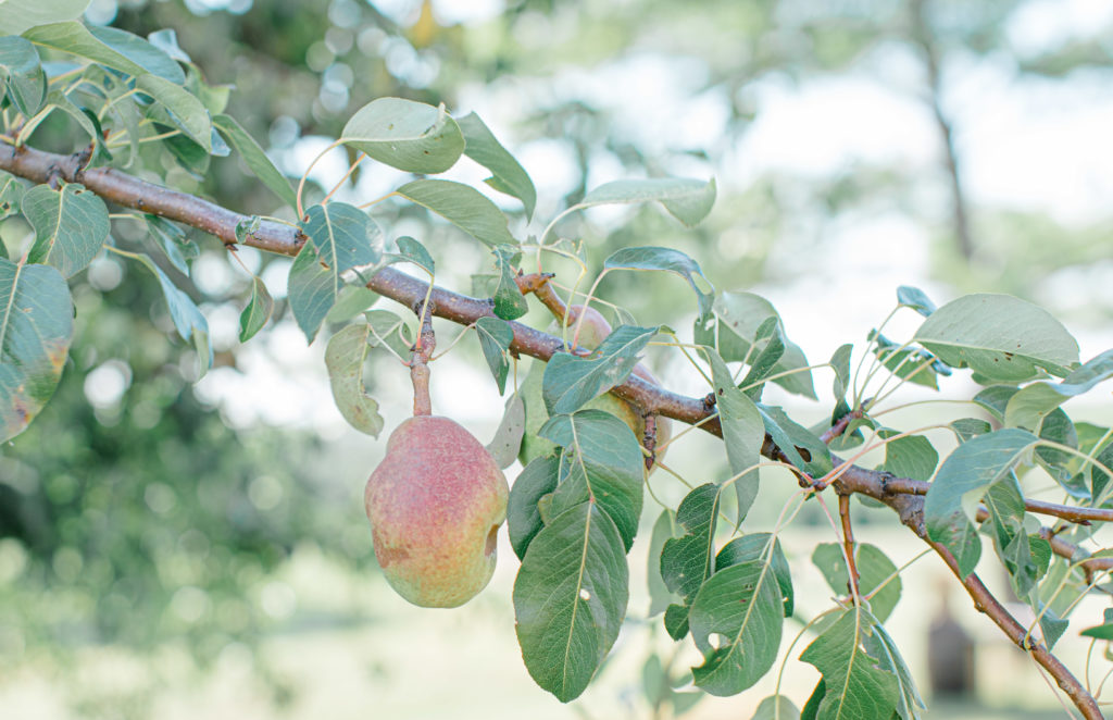 Laura Ben Campbell Farm White Lake Wedding Grey Loft Studio 2020