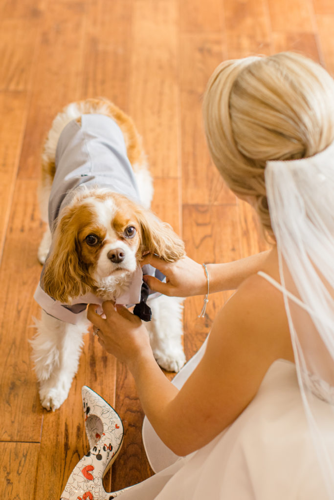 Sandrine Brian Summer Wedding Stonefields Estate Grey Loft Studio 2021
