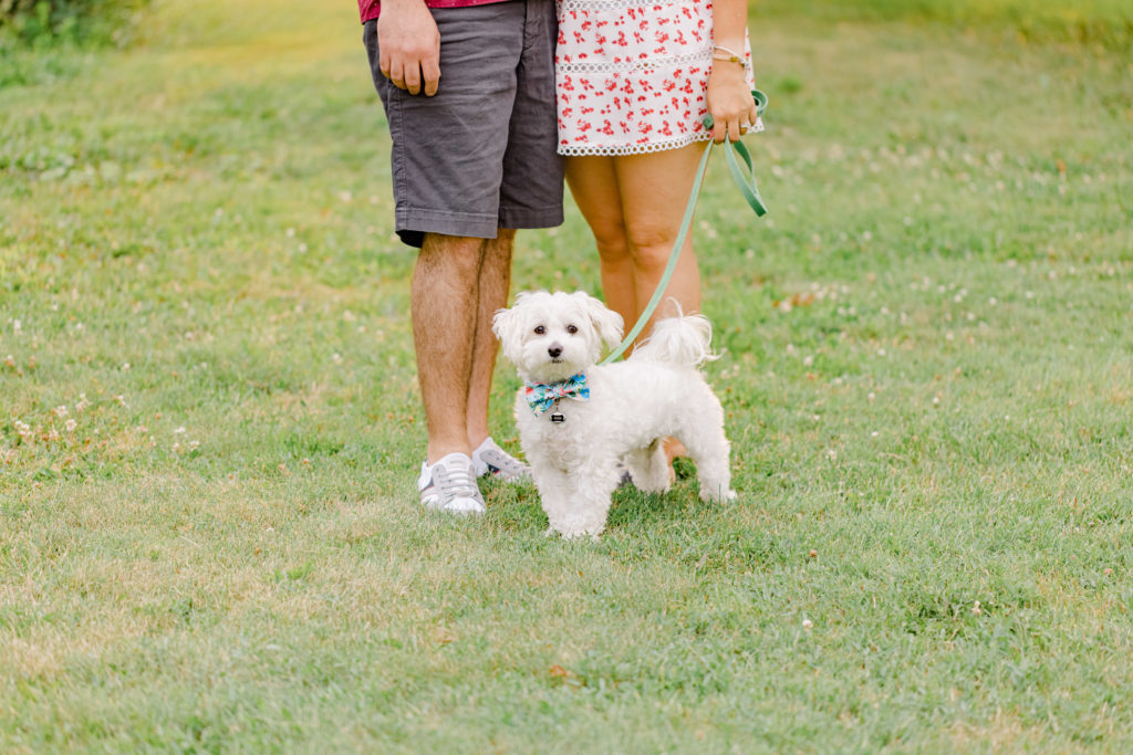 Shima Shah Engagement Arboretum Sunset Picnikvibe Grey Loft Studio 2021