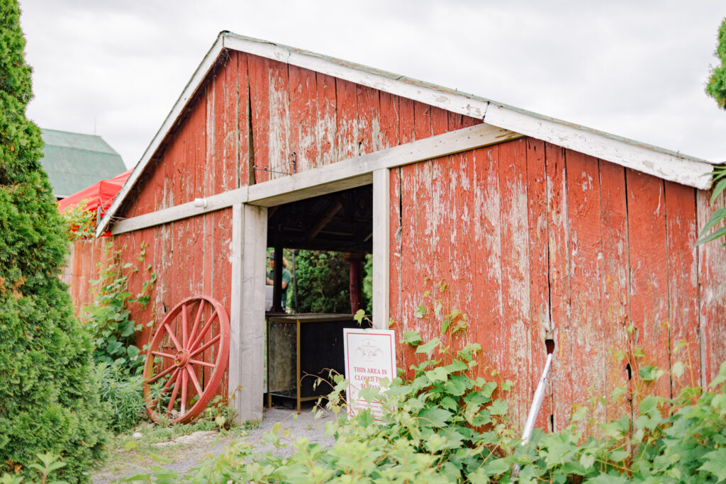 Vanessa Adam The Eddie Wedding June Grey Loft Studio 2024