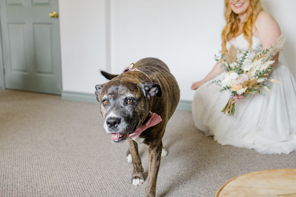 Vanessa Adam The Eddie Wedding June Grey Loft Studio 2024