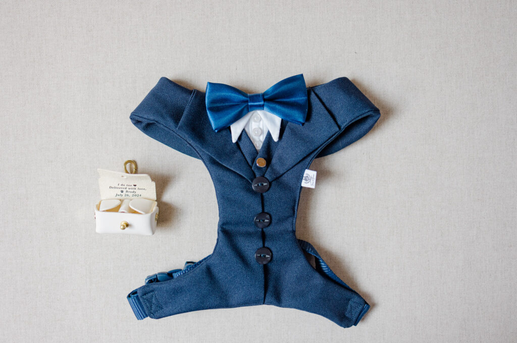 Sneak Elizabeth Colton Wedding Beantown Ranch Grey Loft Studio 2024