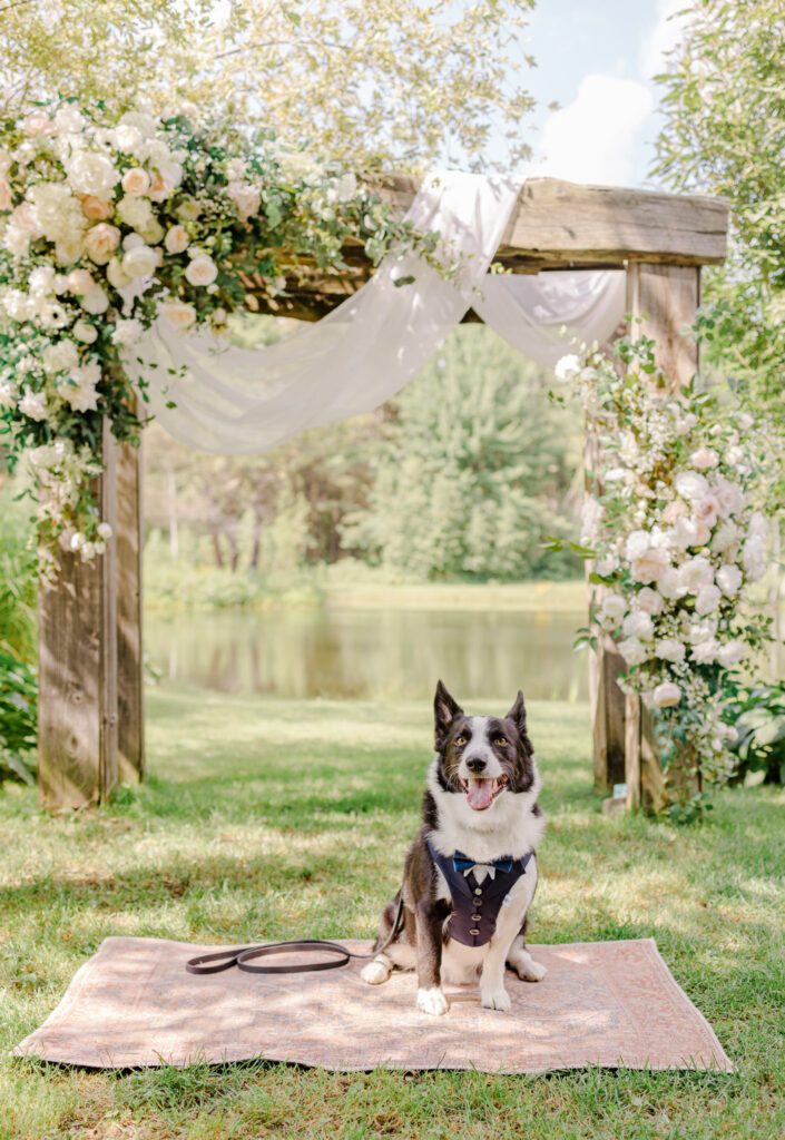 Sneak Elizabeth Colton Wedding Beantown Ranch Grey Loft Studio 2024