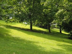 Decks on sloping ground.