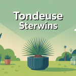 sterwins tondeuse avis illustration jardin domestique