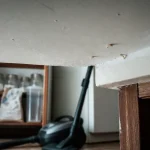 Larves de mites au plafond, près du mur : preuve d’infestation