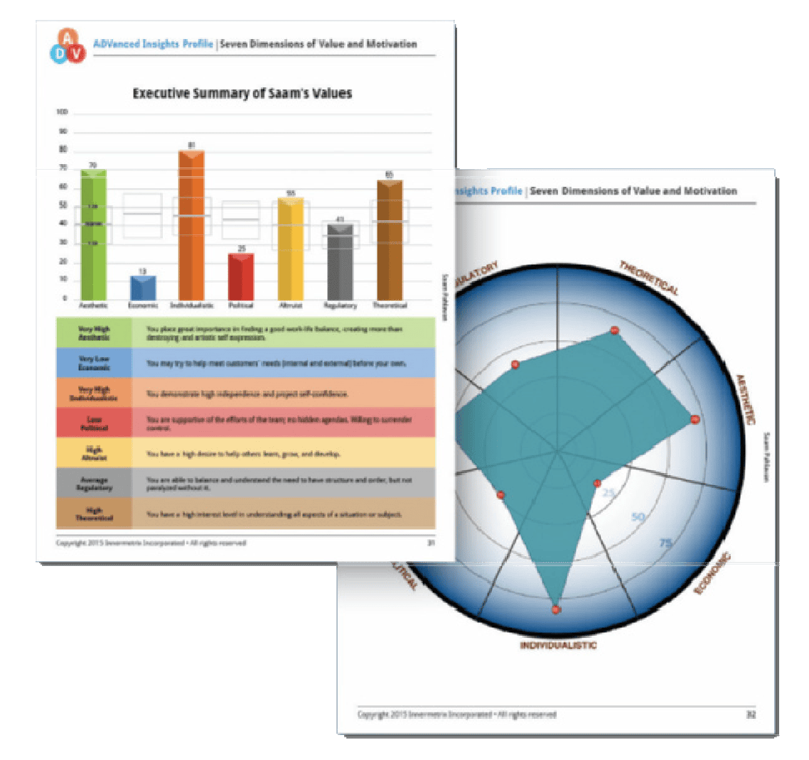 ADVanced Insights Profile report showing a bar graph and radar chart for Seven Dimensions of Value and Motivation including Aesthetic, Economic, Individualistic, Political, Altruistic, Regulatory, and Theoretical values
