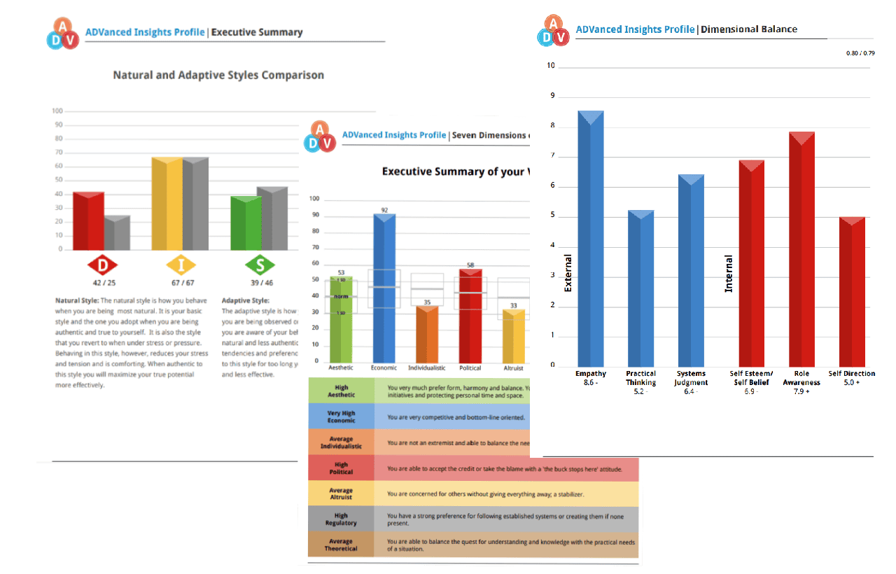 ADVanced Insights DISC personality assessment charts showing natural vs adaptive styles, motivators, and dimensional balance