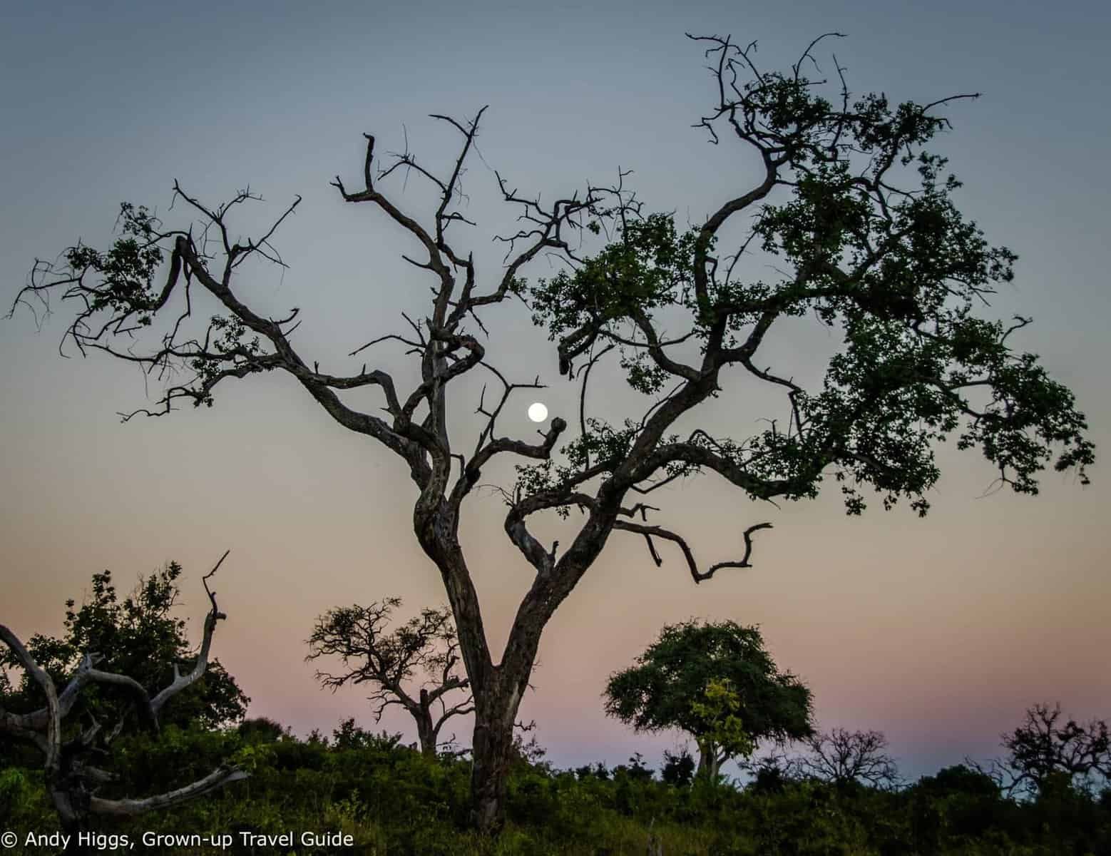 A typical day on Safari starts early