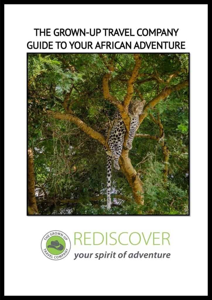 African Safari Planning Guide