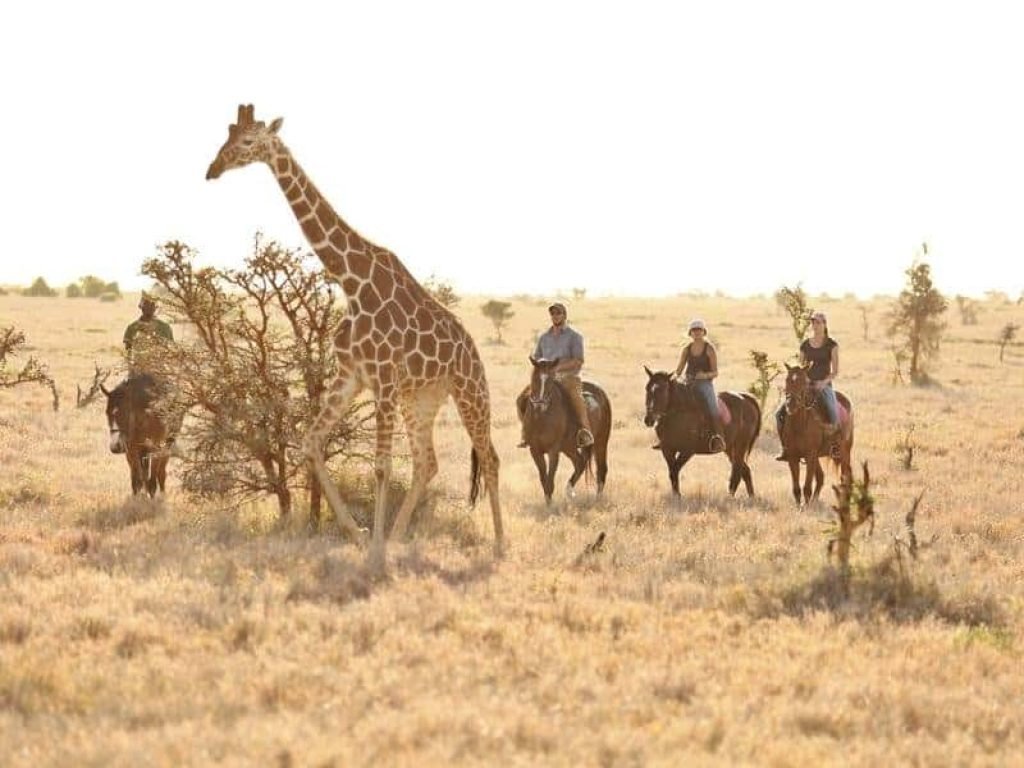 lewa_wilderness_2017-129.1