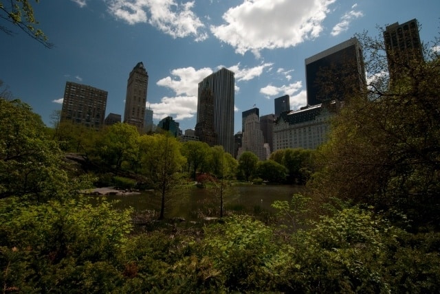 first impressions of new york