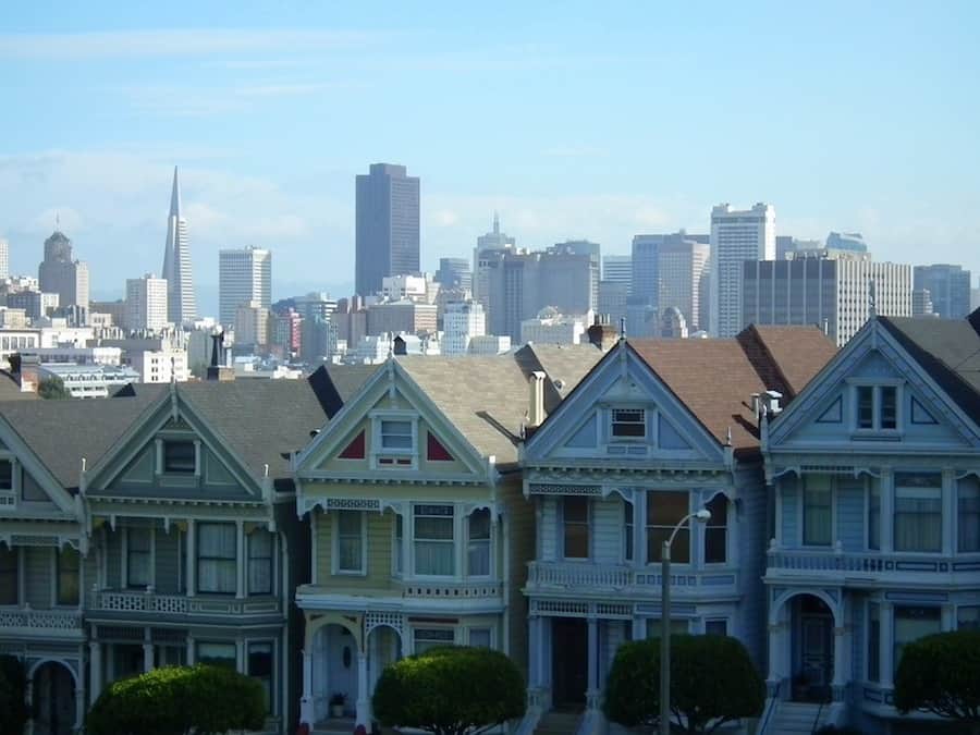 Painted-Ladies