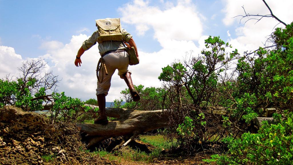 8668028822_acdf37d0ed_b