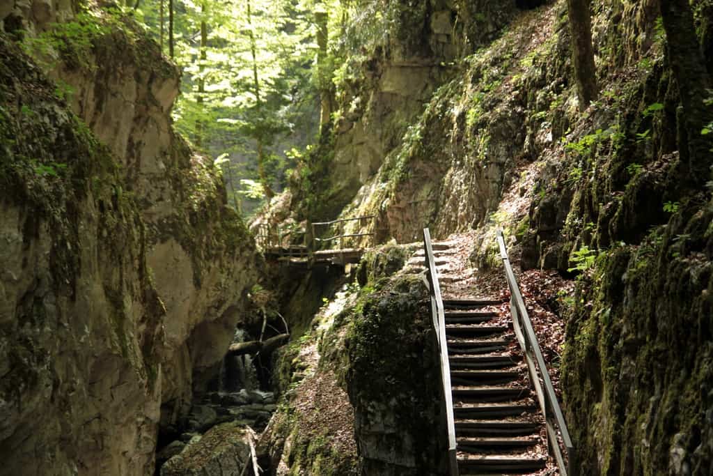 Why Croatia is perfect for nature travel