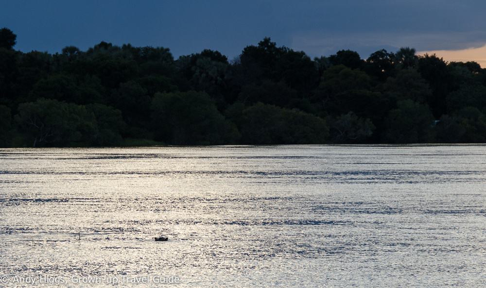 Sundowner cruise hippo in water
