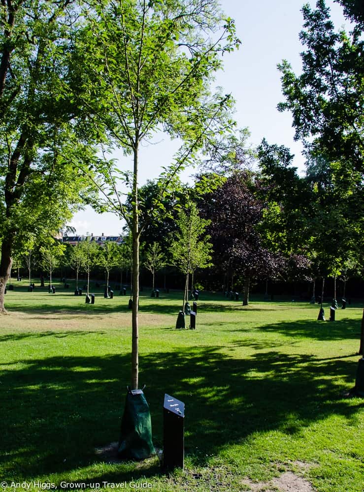 Aalborg singing tree