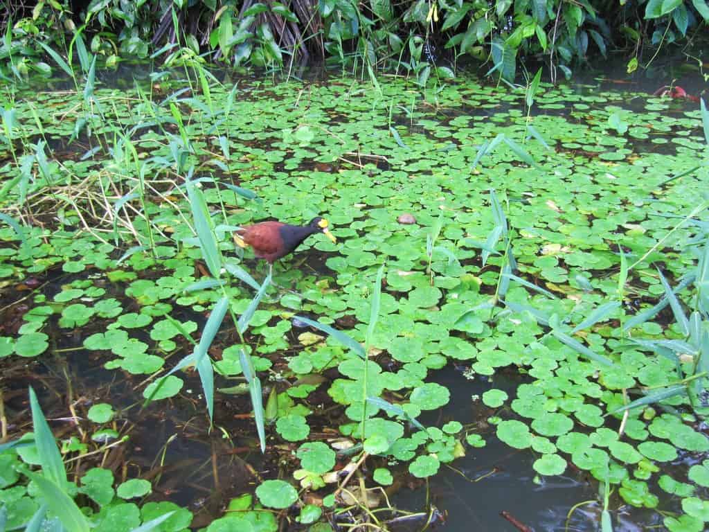 8431776545_9002580a54_b