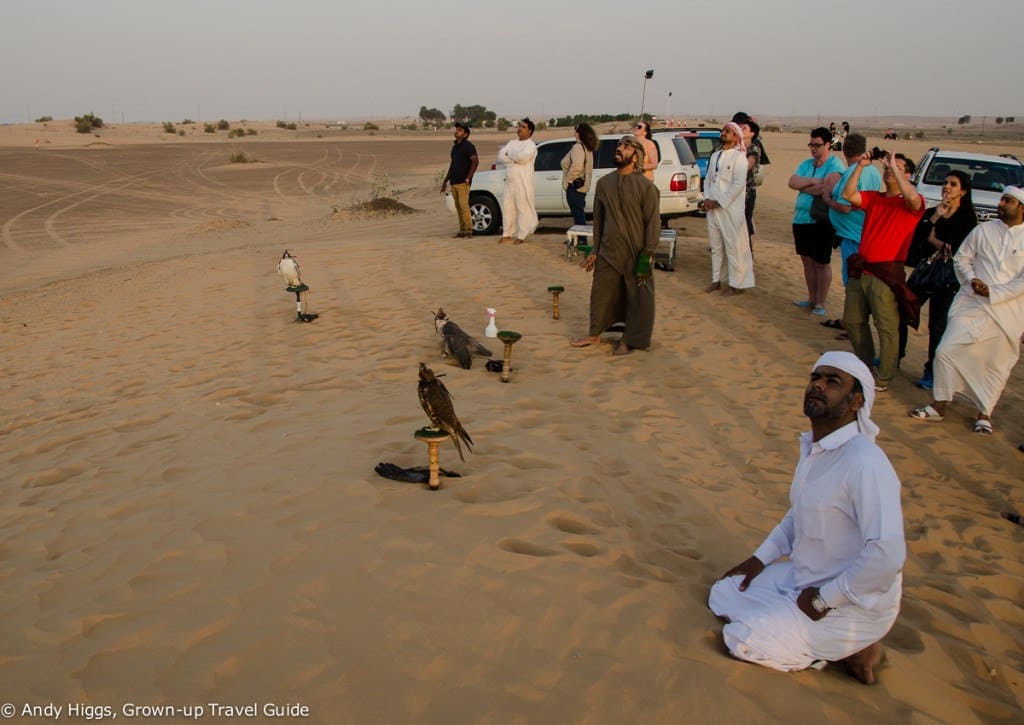 Desert safari hawks