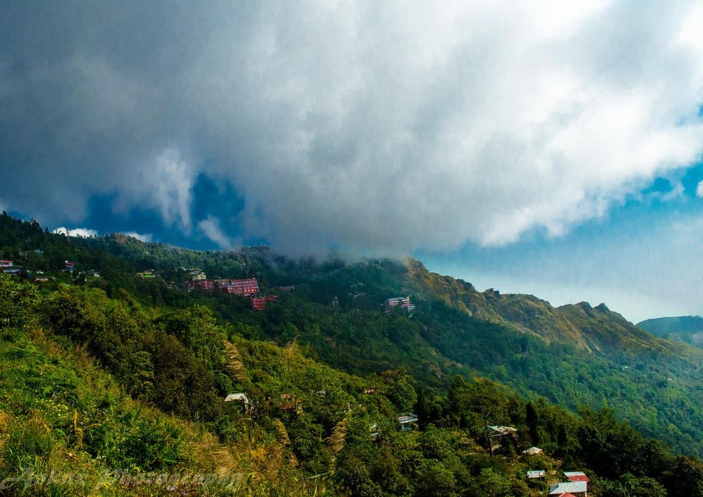 11274417765_c2a29a9ab2_b