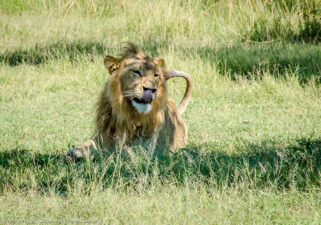 best places to travel in africa