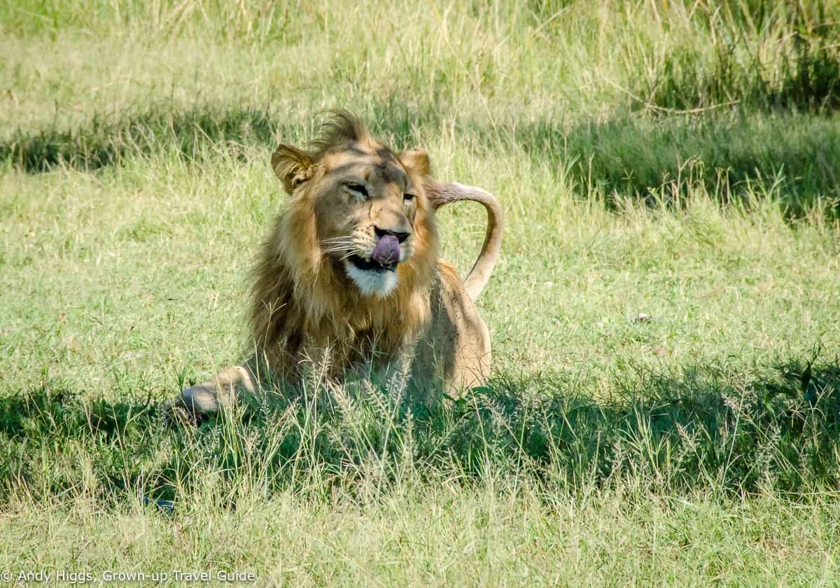 best places to travel in africa