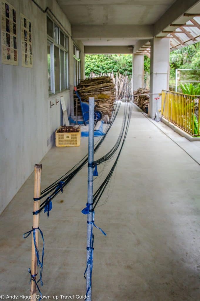 Bashofu dyeing indigo