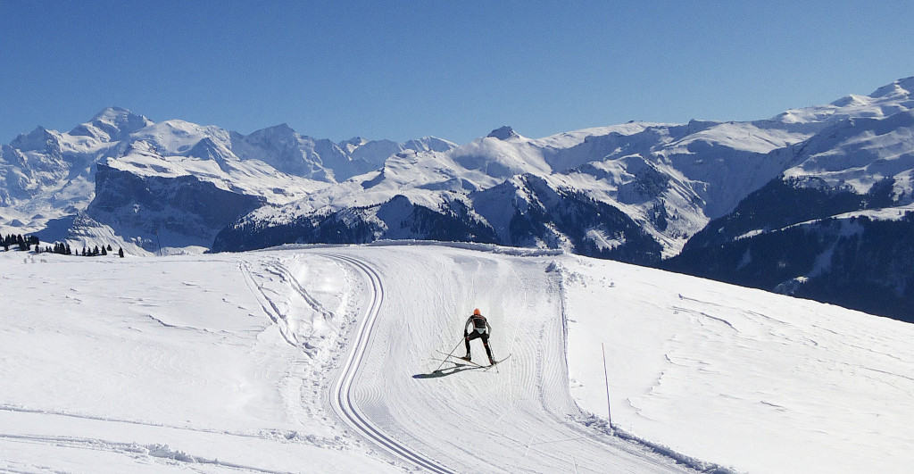 12993505834_69d7c1417c_k