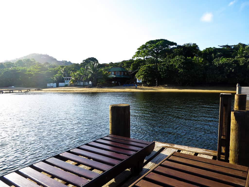 22029569712_ff8b96b57b_b