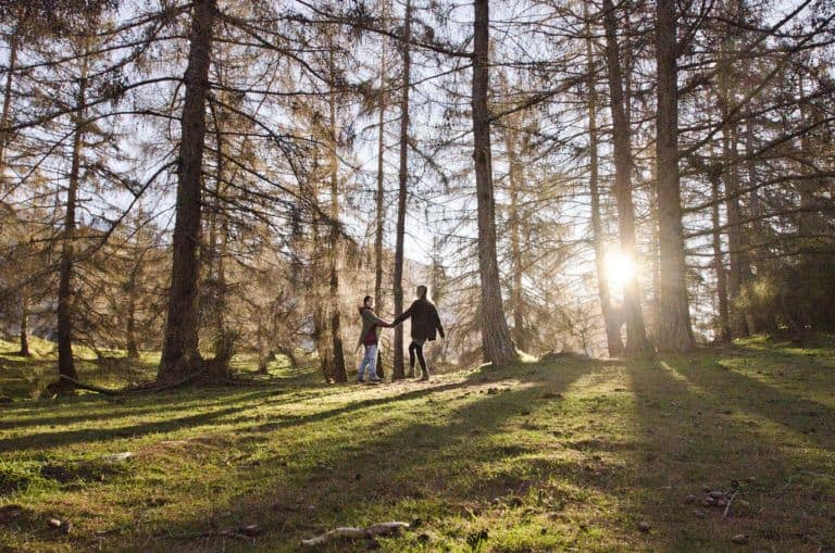 How to See More of Nature Without Leaving The UK