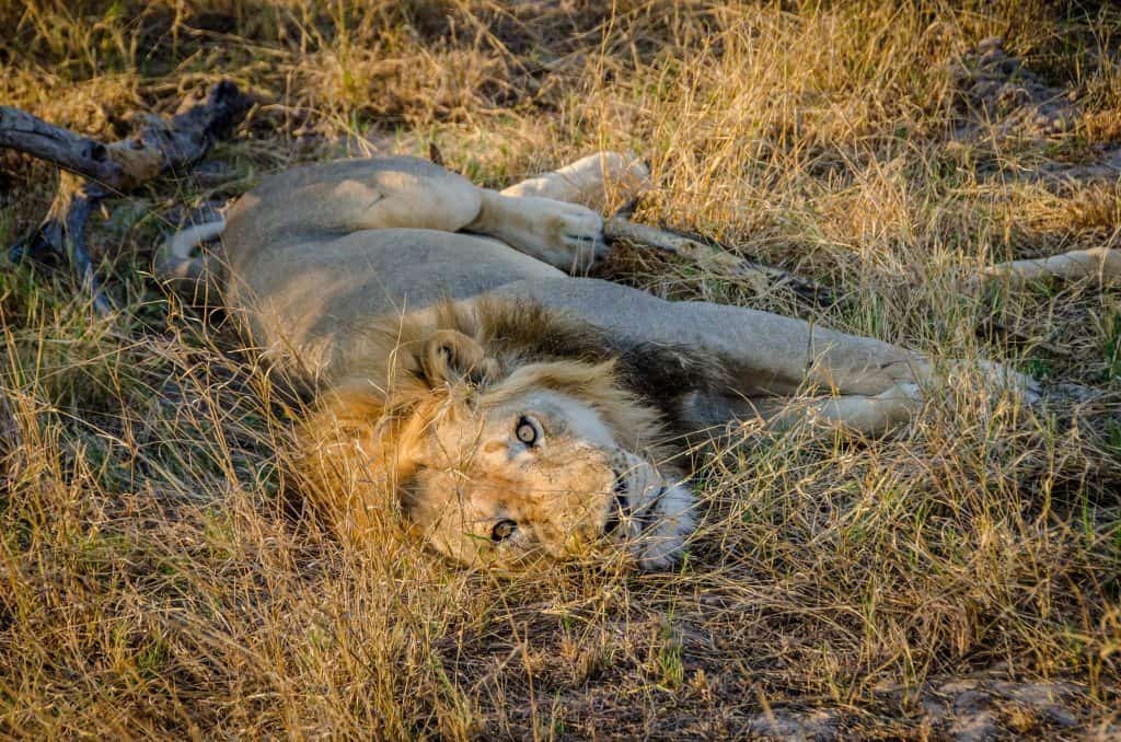 Zimbabwe travel guide