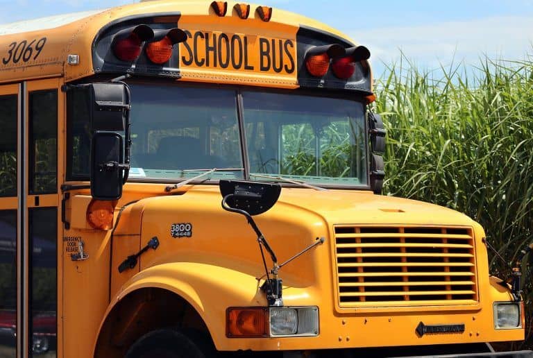 Preventing Motion Sickness: Best Practices for Student Bus Travel