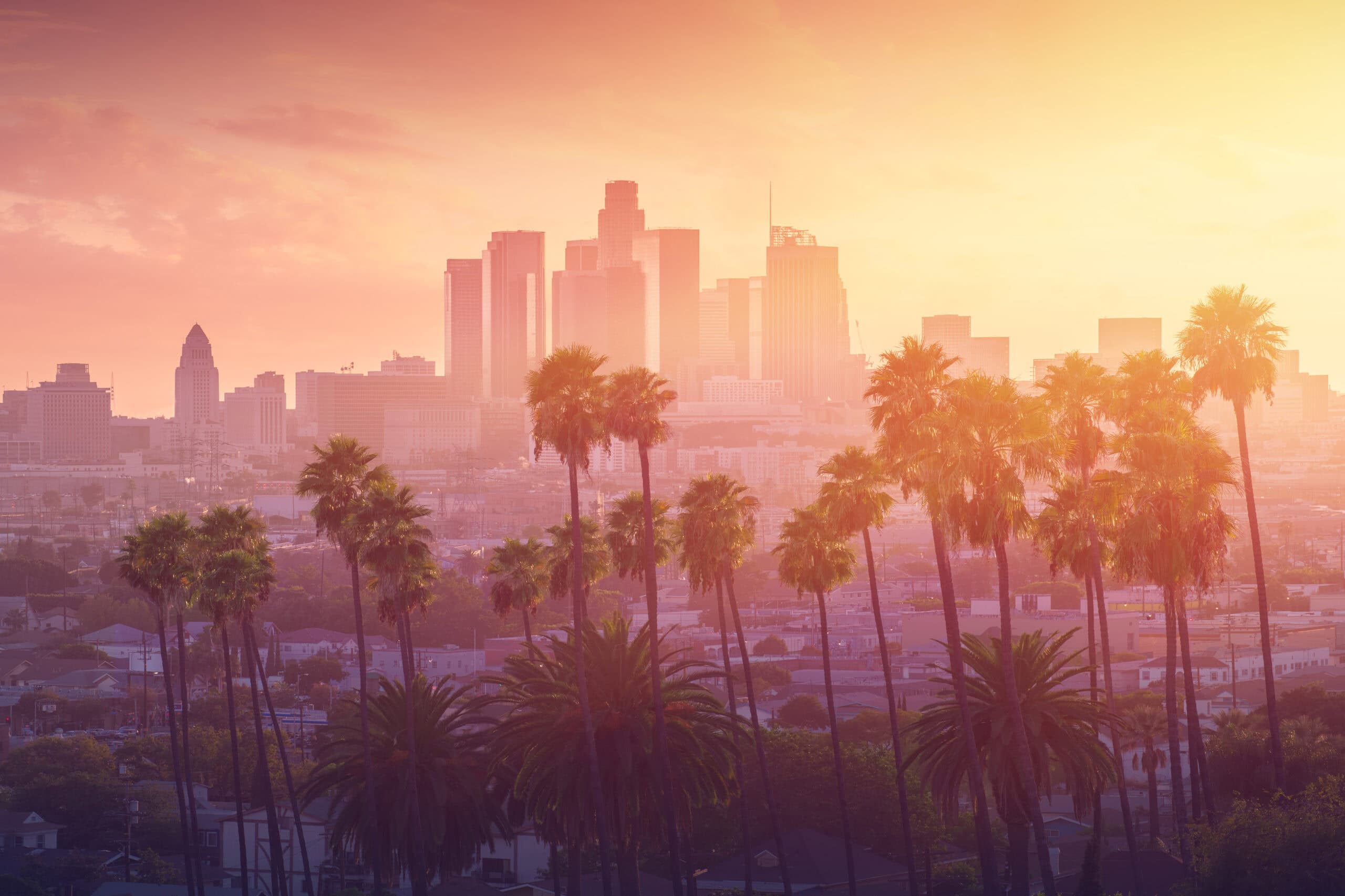 Los,Angeles,Hot,Sunset,View,With,Palm,Tree,And,Downtown
