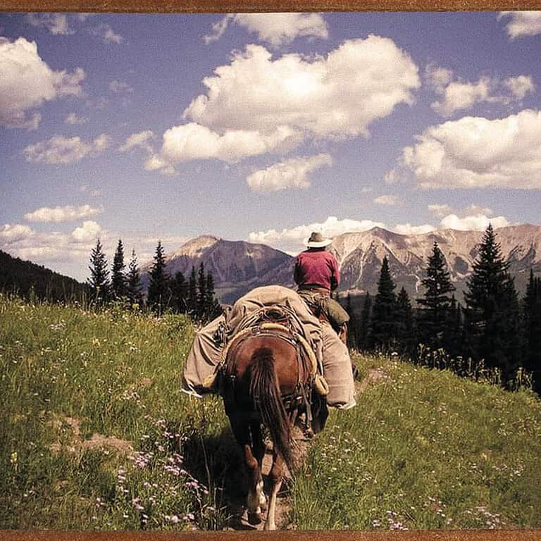 Polly packing with her horse and pack mule in the high country wildflowers, pine trees, mountains, and summery clouds.