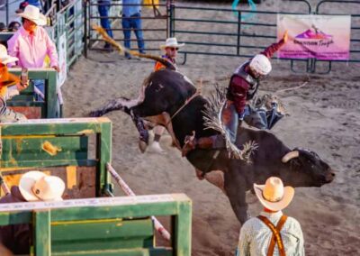 A cowboy rides a bull at Bull Fest.