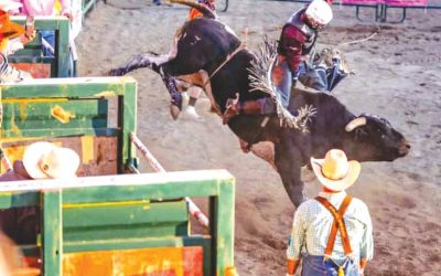 Bull Fest rides high in Gunnison