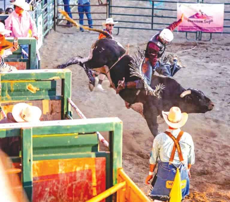 Bull Fest rides high in Gunnison