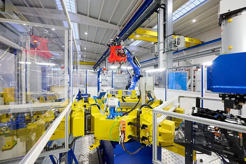 2021: Crecimiento internacional