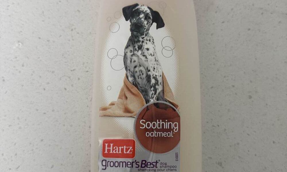 Best Dog Shampoos for Sensitive Skin in 2026: Gentle Formulas and Itch Relief