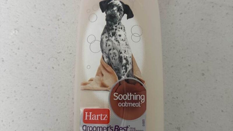 dog shampoo bottle on a countertop