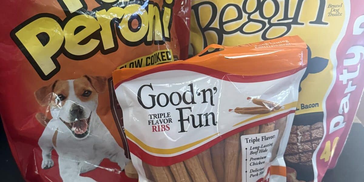 Best Dog Treats for Training in 2026: High-Value Rewards
