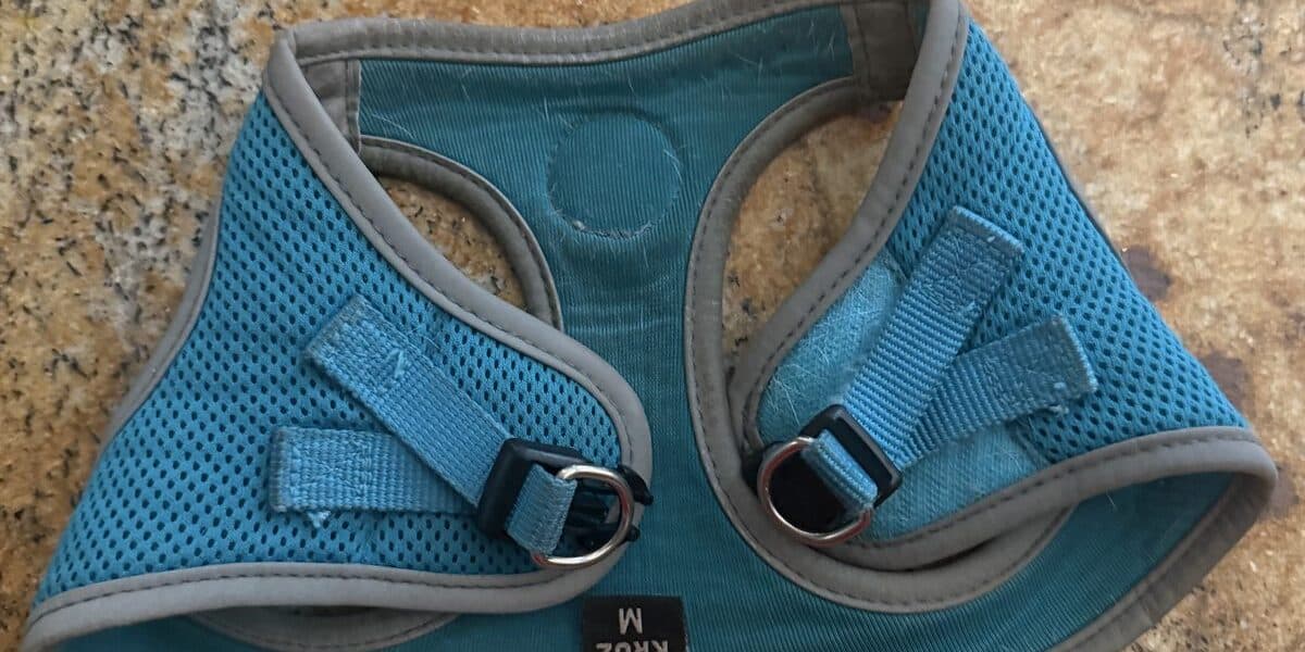 Best Dog Harnesses for Pulling in 2026: Stop the Strain and Maintain Control